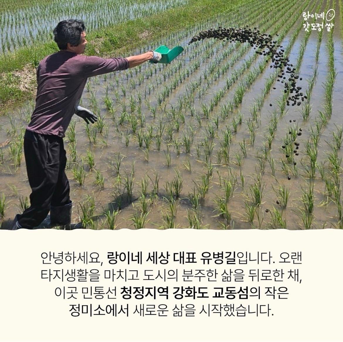 가장 맛있는 밥맛을 이미지 2
