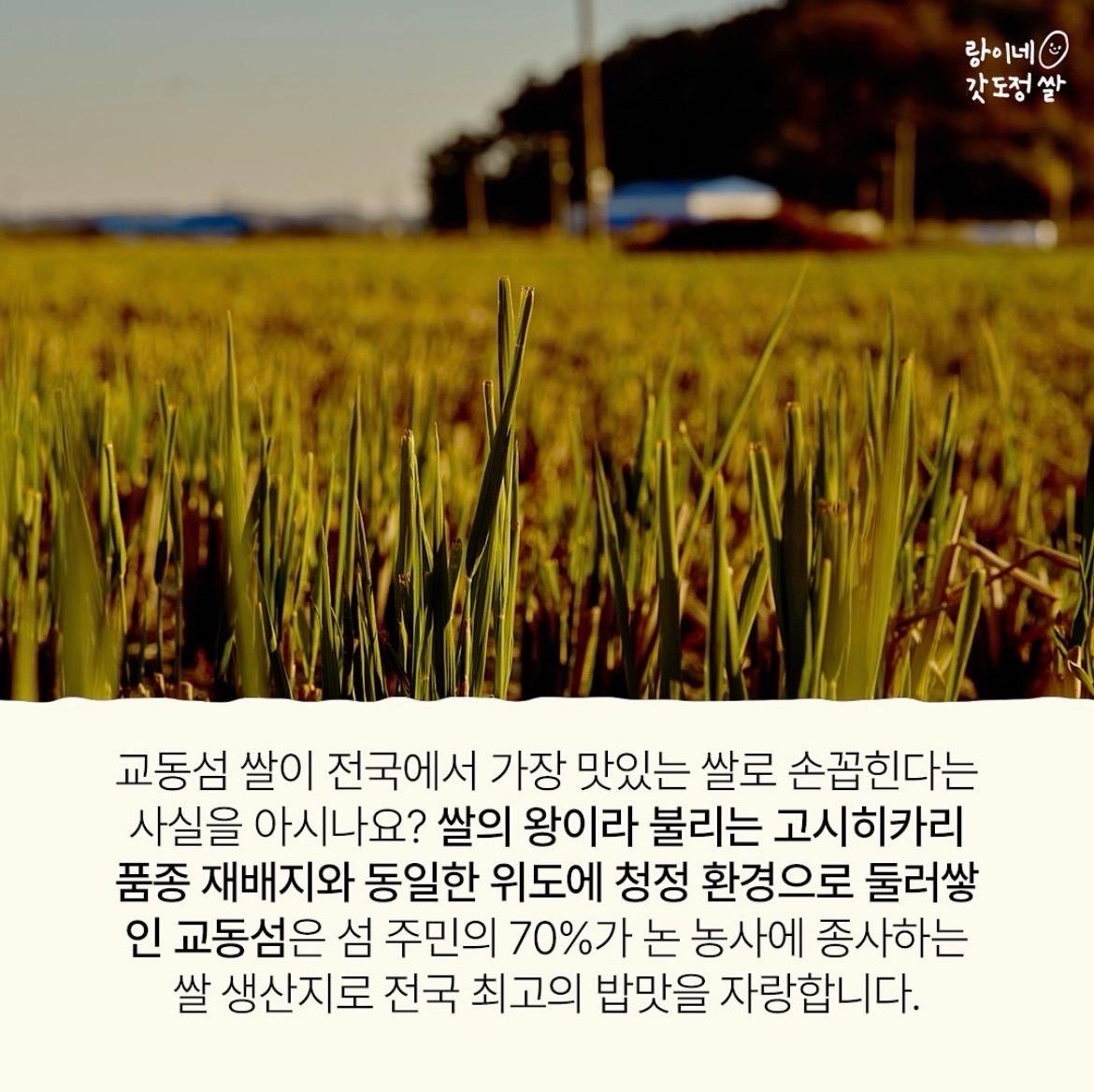 가장 맛있는 밥맛을 이미지 4