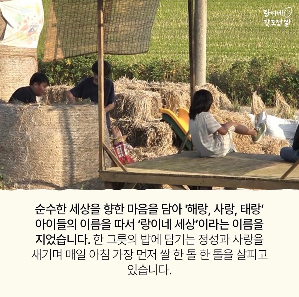 가장 맛있는 밥맛을 이미지 3