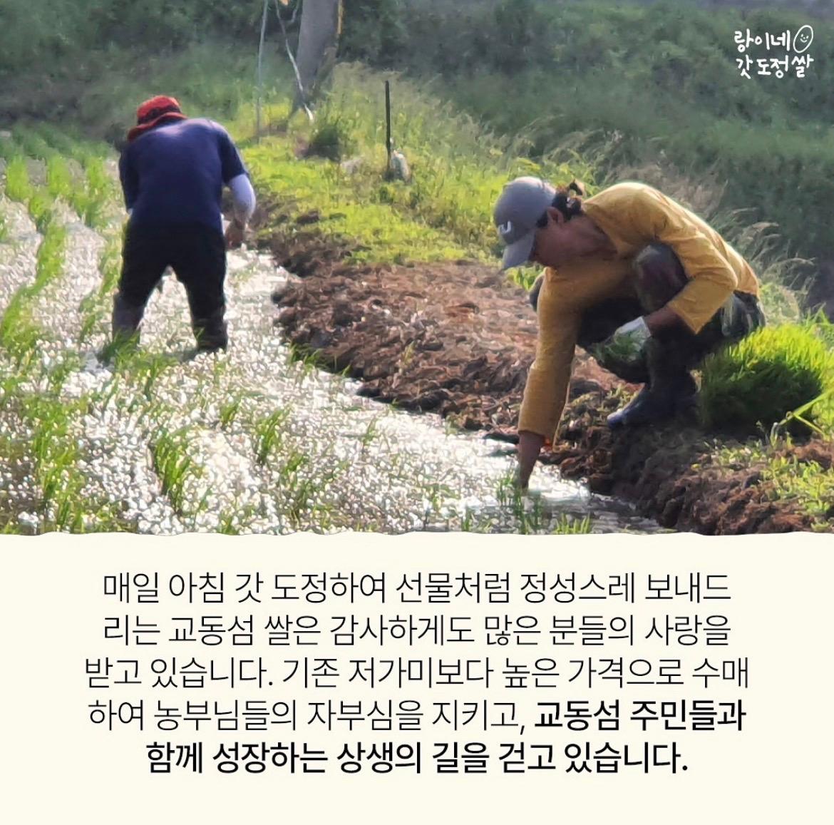 가장 맛있는 밥맛을 이미지 6