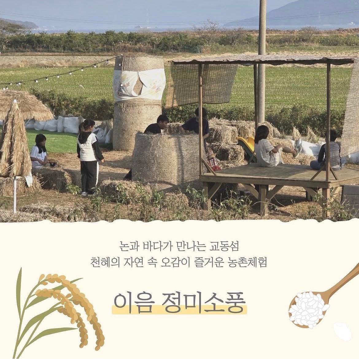 지난 8월 첫 시작 이미지 1